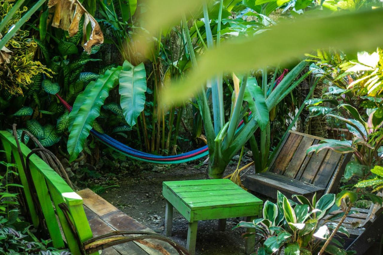فلوريس Ciao Cacao Hostel & Vegan Cafe المظهر الخارجي الصورة